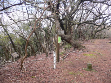 父子ｄｅ大平山　静岡県伊豆　伊東市