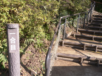 道案内ｄｅドッグ　松田山　神奈川県松田町