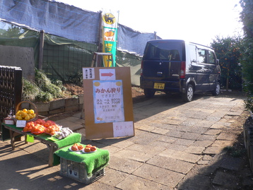 道案内ｄｅドッグ　松田山　神奈川県松田町