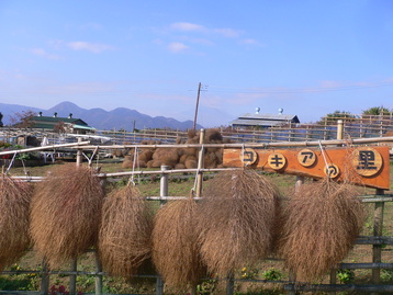 道案内ｄｅドッグ　松田山　神奈川県松田町