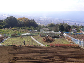 道案内ｄｅドッグ　松田山　神奈川県松田町