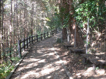 道案内ｄｅドッグ　松田山　神奈川県松田町