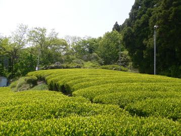 夫婦ｄｅ矢倉岳　神奈川県南足柄市