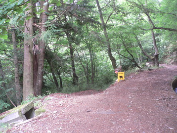 吸血ｄｅ案山子 荒倉山 山梨県韮崎市