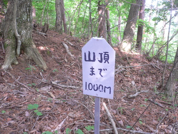 吸血ｄｅ案山子 荒倉山 山梨県韮崎市