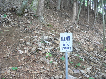 吸血ｄｅ案山子 荒倉山 山梨県韮崎市