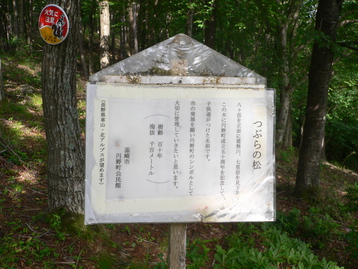 吸血ｄｅ案山子 荒倉山 山梨県韮崎市
