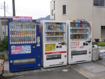 吸血ｄｅ案山子 荒倉山 山梨県韮崎市