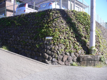 身延線ｄｅスカイツリー 醍醐山&西山 山梨県身延町