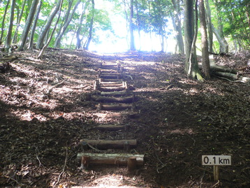 身延線ｄｅスカイツリー 醍醐山&西山 山梨県身延町