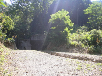 熊ｄｅ親子 蜂城山&茶臼山 山梨県笛吹市