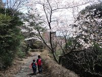 回顧録　静岡県熱海市　父子ハイキング　十国峠近くの姫の沢公園まで