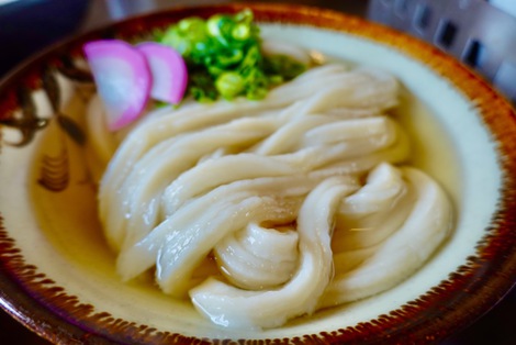 速報 今年初の「うどん県」上陸