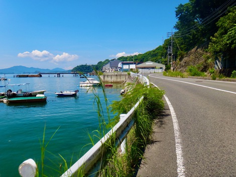 たいして走ってもないのに 頻繁に道草するので 走行距離の割に距離は短いのですよ