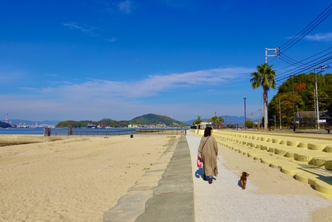 西日本最大級の人工海浜 「ベイサイドビーチ坂」に 飲食・物販施設が建設中ですよ。