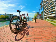 風光明媚なサイクリングロード「かきしま街道」