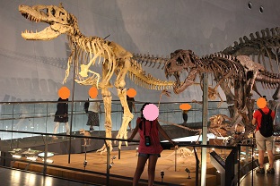 福井県立恐竜博物館へ行ってきました！！！（番外編Part14)