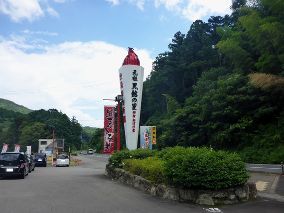2015年夏休み