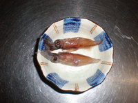 ほたるいか