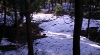 山に行って来ました