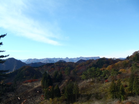 紅葉