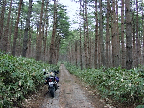 福島の思い出