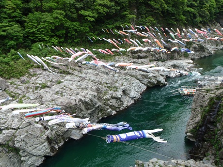 「仁淀川で極上リバーツーリング！」の翌日