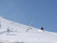 八幡平　山スキー（３）