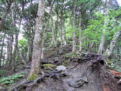 北岳－その１