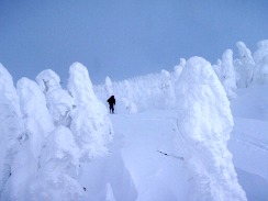 樹氷の八幡平へ④