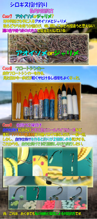 シロギス備忘録　あくまでも私的対処方法 5