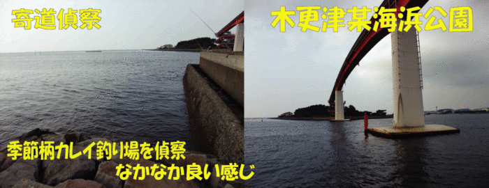 房総秋釣行3