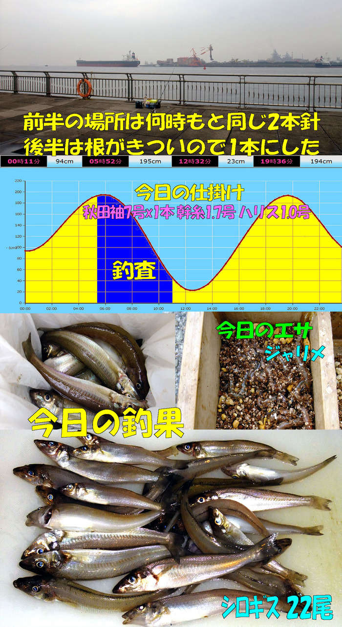 やや投げ+チョイ投げ鱚釣査 5