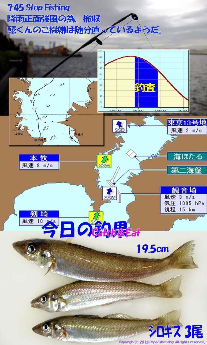 2013　チョイ投げ鱚釣査7