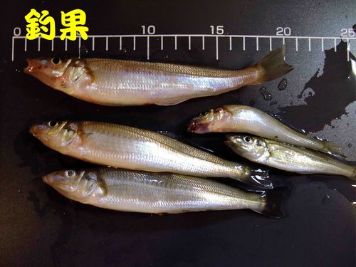 寒い週末