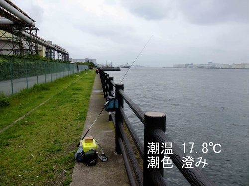 寒い週末
