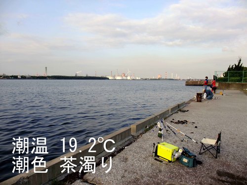 週末釣果1