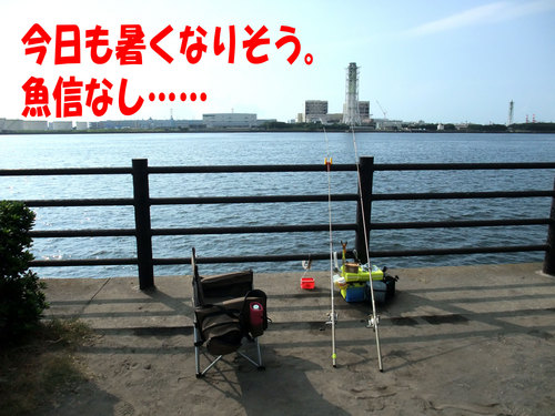 今週の釣果6