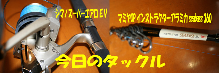 今週の釣果7