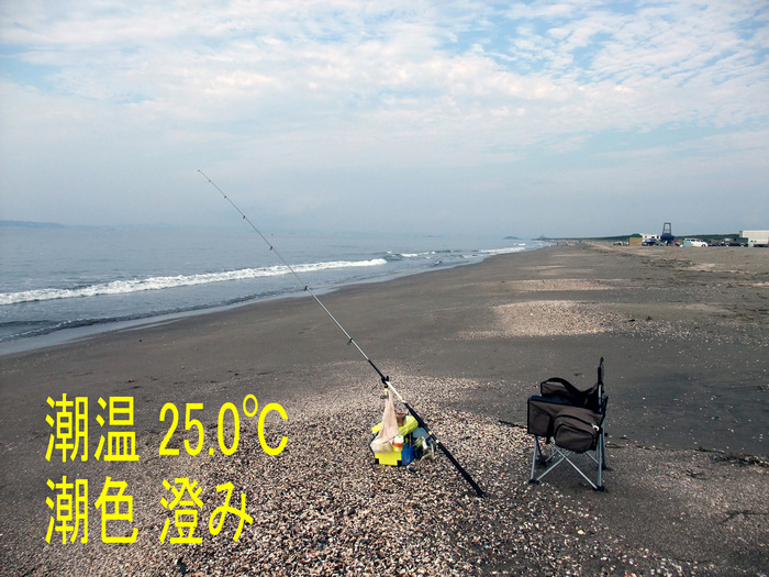 今週の釣果7