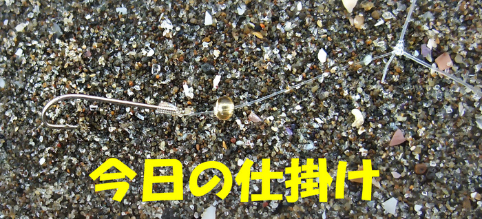 今週の釣果7