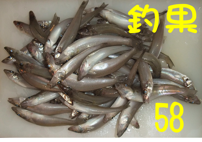 今週の釣果7