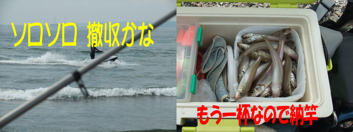 今週の釣果7