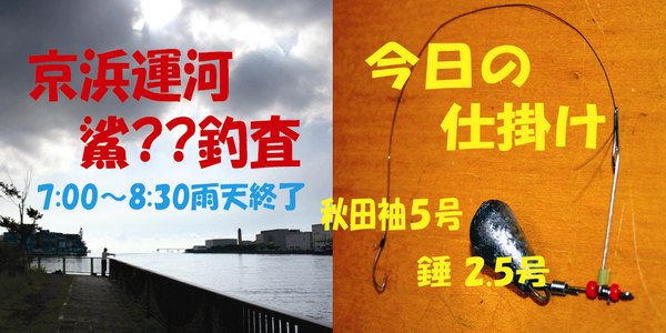 鯊？釣査