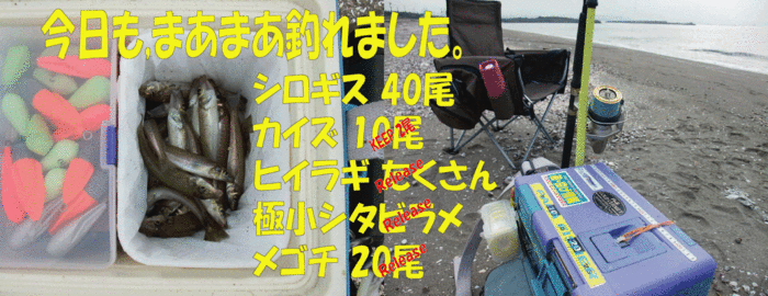房総秋釣行3