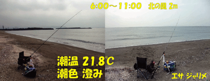 房総秋釣行3