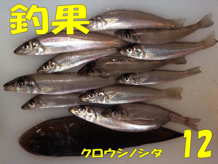 房総秋釣行4