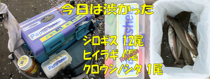 房総秋釣行4