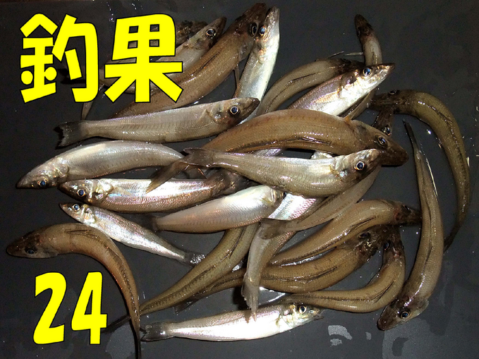 房総秋釣行5