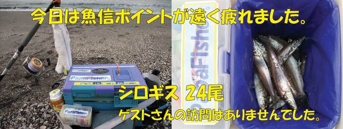 房総秋釣行5